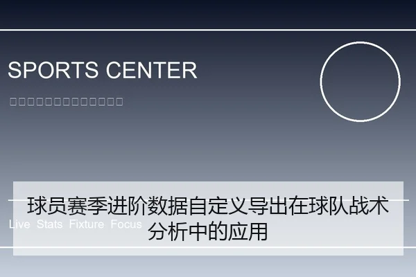 球员赛季进阶数据自定义导出在球队战术分析中的应用